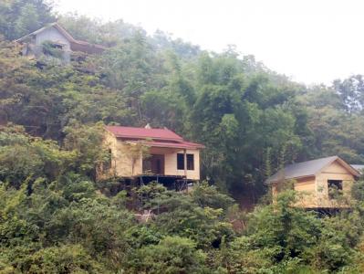 趣味鳥(niǎo)巢酒店—宜賓茶文化主題公園